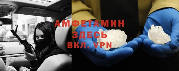прущие грибы Инсар