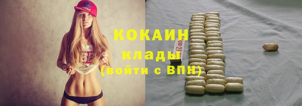 прущие грибы Инсар