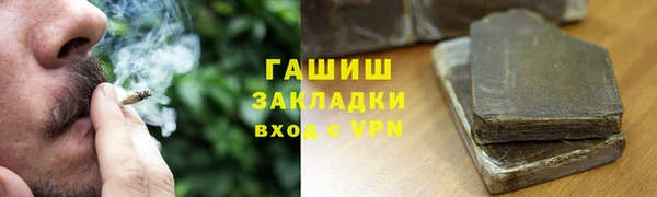 прущие грибы Инсар