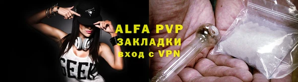 прущие грибы Инсар
