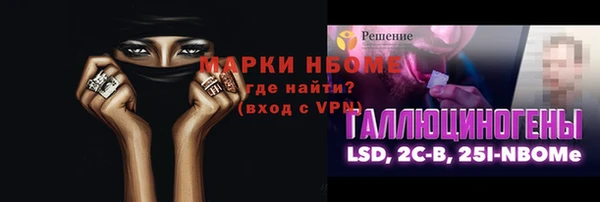 прущие грибы Инсар