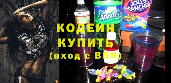 2c-b Инта