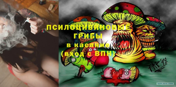 2c-b Инта