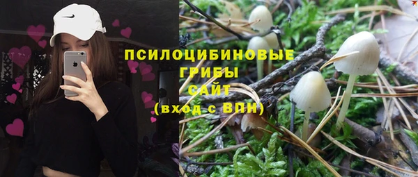 2c-b Инта