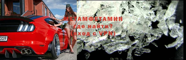 прущие грибы Инсар