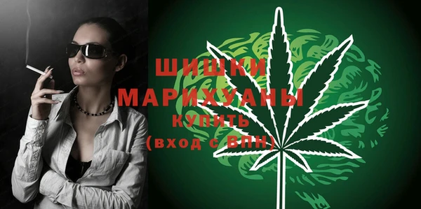 прущие грибы Инсар