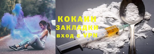 прущие грибы Инсар
