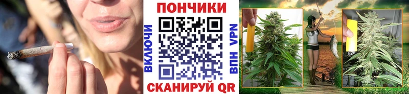 Купить где  Вилючинск  Шишки марихуана план 